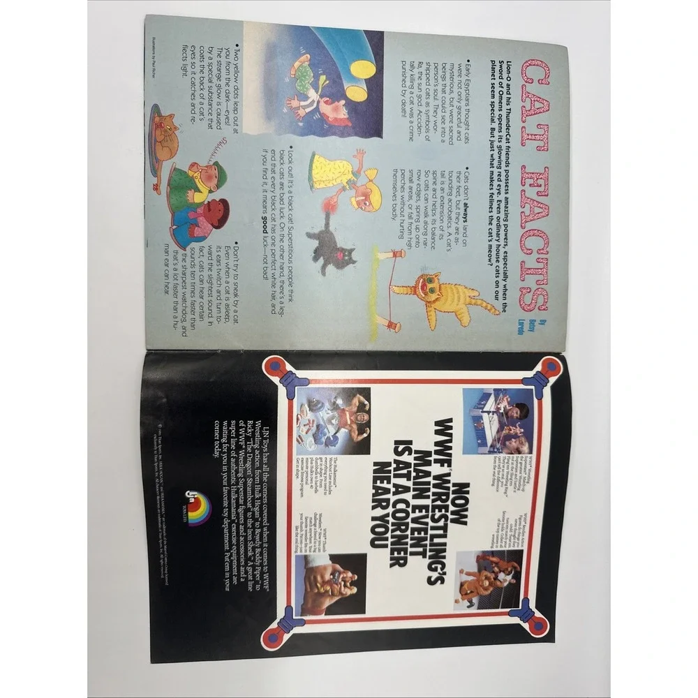 Vintage ThunderCats Magazine Lot 1987 1988 Lion O WilyKit WilyKat Poster